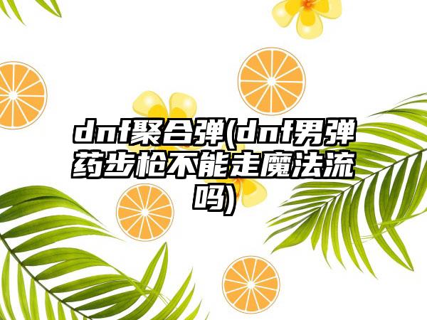 dnf聚合弹(dnf男弹药步枪不能走魔法流吗)