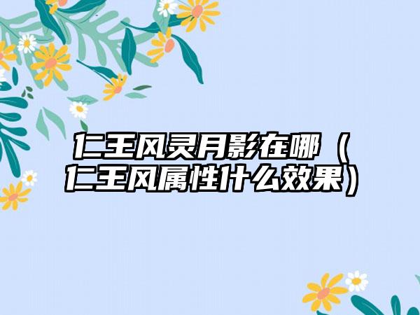 仁王风灵月影在哪（仁王风属性什么效果）