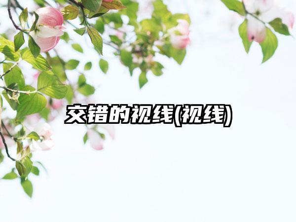 交错的视线(视线)