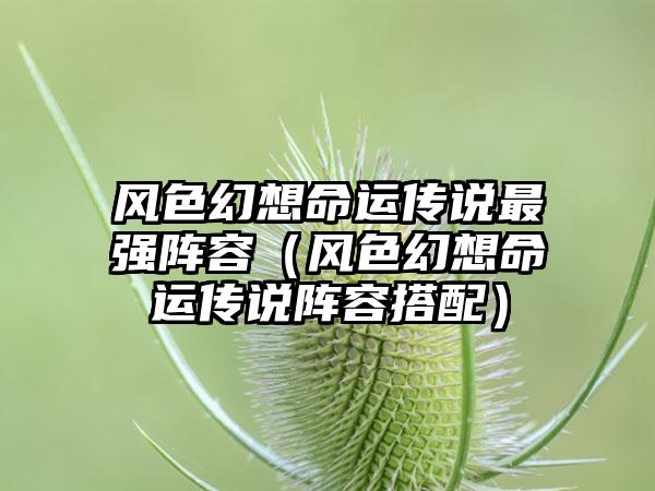 风色幻想命运传说最强阵容（风色幻想命运传说阵容搭配）