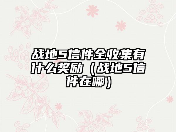 战地5信件全收集有什么奖励（战地5信件在哪）