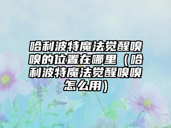 哈利波特魔法觉醒嗅嗅的位置在哪里（哈利波特魔法觉醒嗅嗅怎么用）