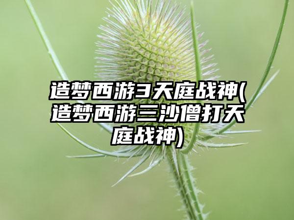 造梦西游3天庭战神(造梦西游三沙僧打天庭战神)