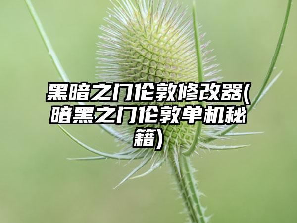黑暗之门伦敦修改器(暗黑之门伦敦单机秘籍)