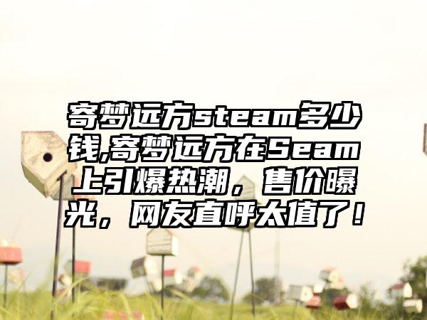 寄梦远方steam多少钱,寄梦远方在Seam上引爆热潮，售价曝光，网友直呼太值了！