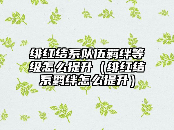 绯红结系队伍羁绊等级怎么提升（绯红结系羁绊怎么提升）