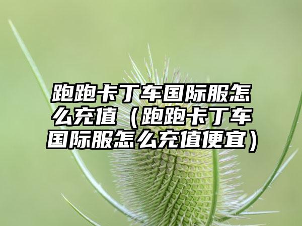 跑跑卡丁车国际服怎么充值（跑跑卡丁车国际服怎么充值便宜）