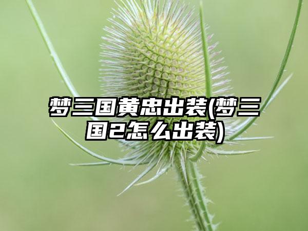 梦三国黄忠出装(梦三国2怎么出装)
