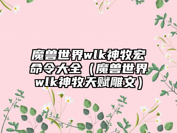 魔兽世界wlk神牧宏命令大全（魔兽世界wlk神牧天赋雕文）