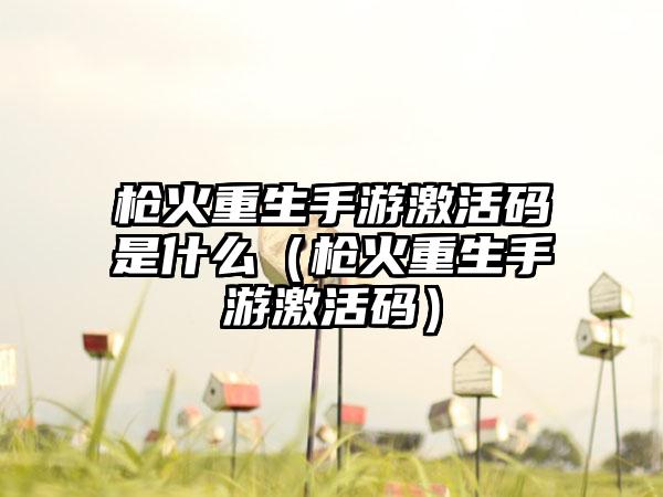 枪火重生手游激活码是什么（枪火重生手游激活码）