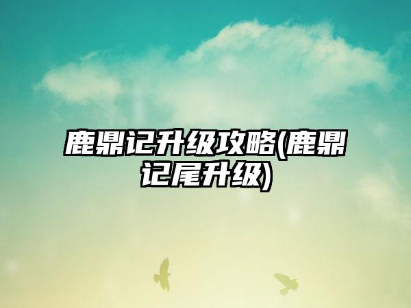鹿鼎记升级攻略(鹿鼎记尾升级)