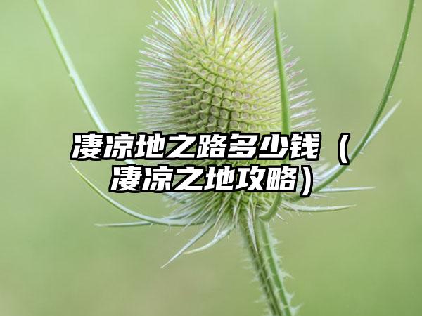 凄凉地之路多少钱（凄凉之地攻略）