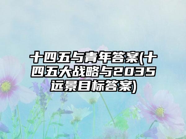 十四五与青年答案(十四五大战略与2035远景目标答案)