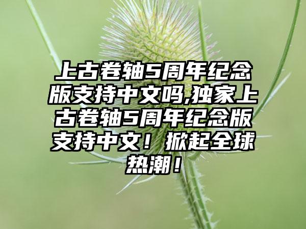上古卷轴5周年纪念版支持中文吗,独家上古卷轴5周年纪念版支持中文！掀起全球热潮！