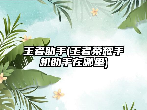 王者助手(王者荣耀手机助手在哪里)