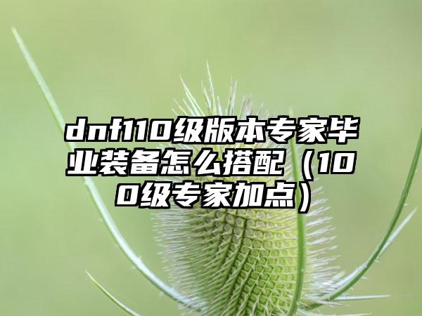 dnf110级版本专家毕业装备怎么搭配（100级专家加点）