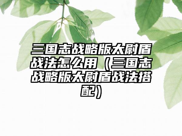 三国志战略版太尉盾战法怎么用（三国志战略版太尉盾战法搭配）
