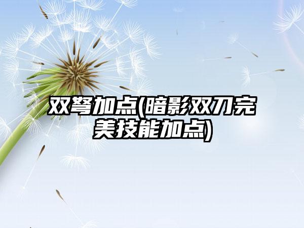双弩加点(暗影双刀完美技能加点)