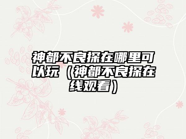 神都不良探在哪里可以玩（神都不良探在线观看）