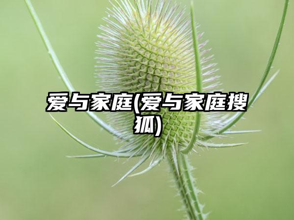 爱与家庭(爱与家庭搜狐)