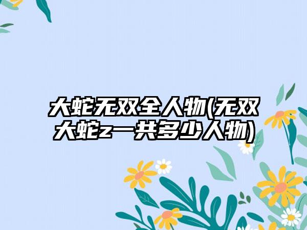 大蛇无双全人物(无双大蛇z一共多少人物)