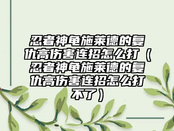 忍者神龟施莱德的复仇高伤害连招怎么打（忍者神龟施莱德的复仇高伤害连招怎么打不了）