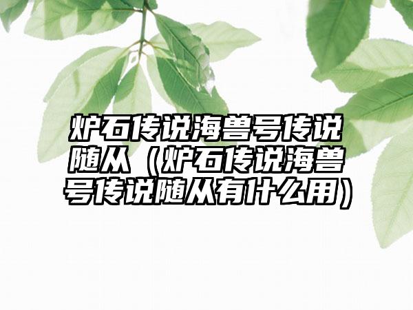 炉石传说海兽号传说随从（炉石传说海兽号传说随从有什么用）