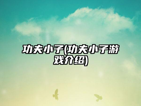 功夫小子(功夫小子游戏介绍)