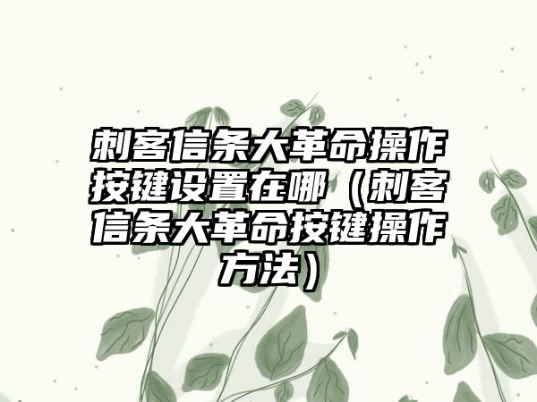 刺客信条大革命操作按键设置在哪（刺客信条大革命按键操作方法）