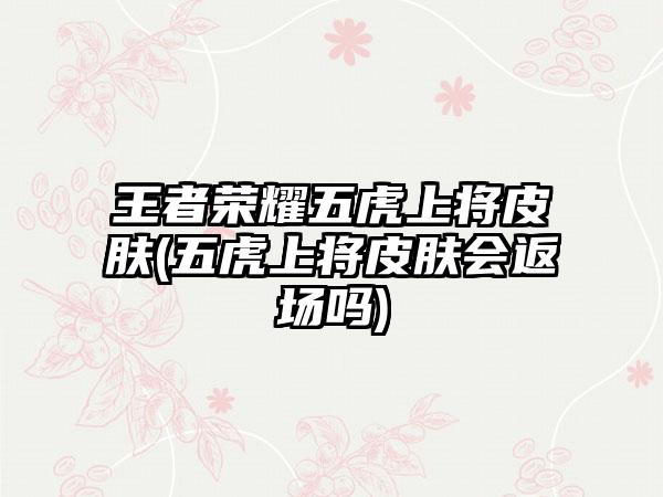 王者荣耀五虎上将皮肤(五虎上将皮肤会返场吗)