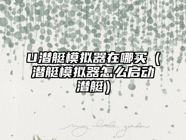 U潜艇模拟器在哪买（潜艇模拟器怎么启动潜艇）