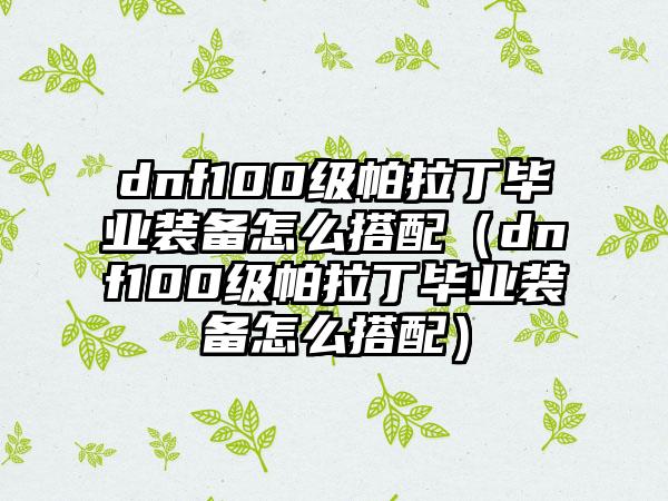 dnf100级帕拉丁毕业装备怎么搭配（dnf100级帕拉丁毕业装备怎么搭配）