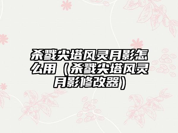 杀戮尖塔风灵月影怎么用（杀戮尖塔风灵月影修改器）