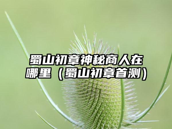 蜀山初章神秘商人在哪里（蜀山初章首测）