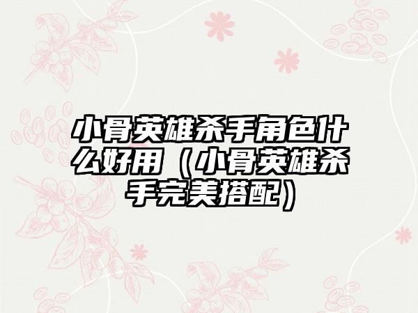 小骨英雄杀手角色什么好用（小骨英雄杀手完美搭配）