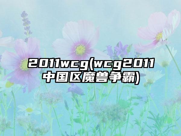 2011wcg(wcg2011中国区魔兽争霸)