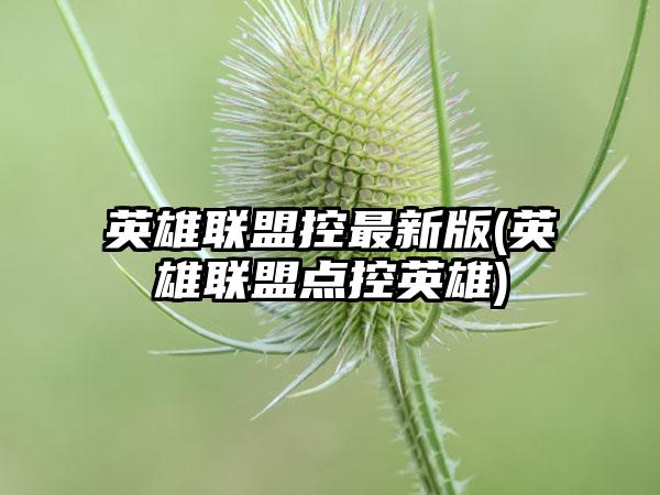 英雄联盟控最新版(英雄联盟点控英雄)