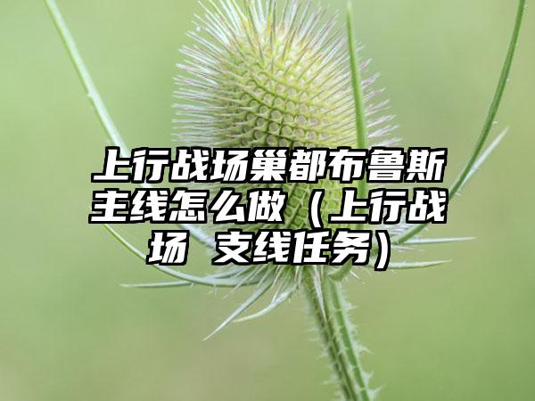 上行战场巢都布鲁斯主线怎么做（上行战场 支线任务）
