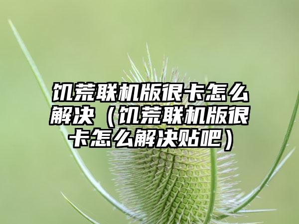 饥荒联机版很卡怎么解决（饥荒联机版很卡怎么解决贴吧）