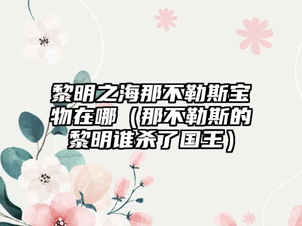 黎明之海那不勒斯宝物在哪（那不勒斯的黎明谁杀了国王）