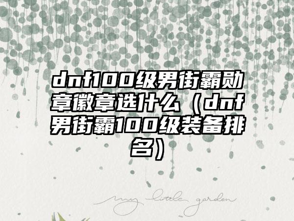 dnf100级男街霸勋章徽章选什么（dnf男街霸100级装备排名）