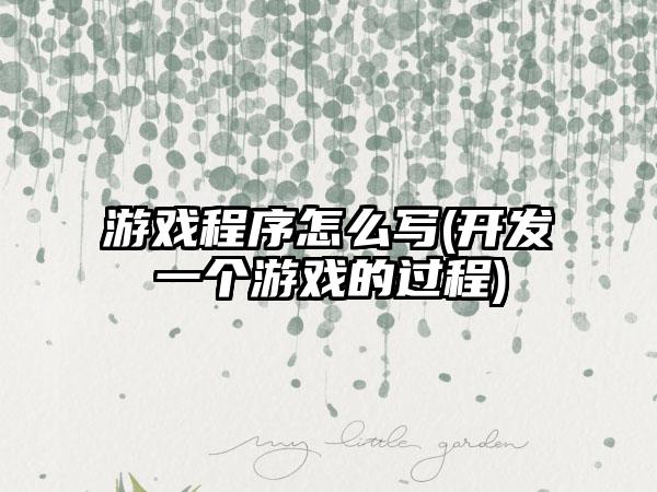 游戏程序怎么写(开发一个游戏的过程)