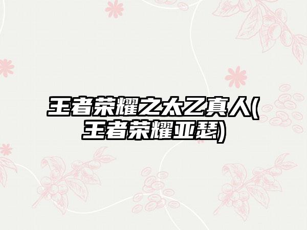 王者荣耀之太乙真人(王者荣耀亚瑟)