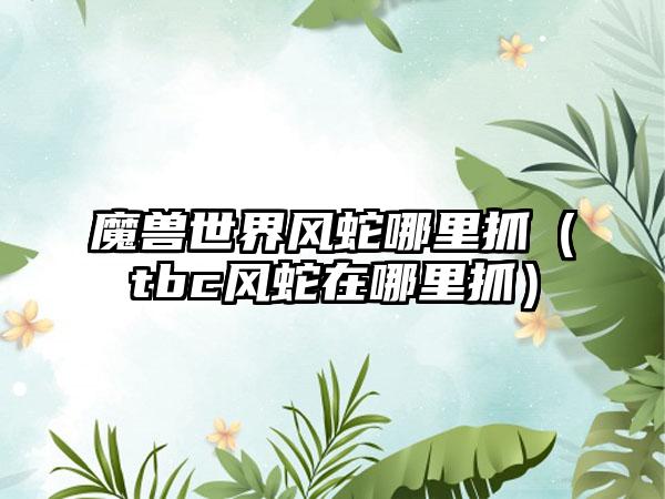 魔兽世界风蛇哪里抓（tbc风蛇在哪里抓）