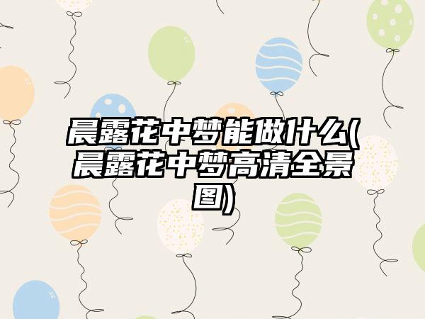 晨露花中梦能做什么(晨露花中梦高清全景图)