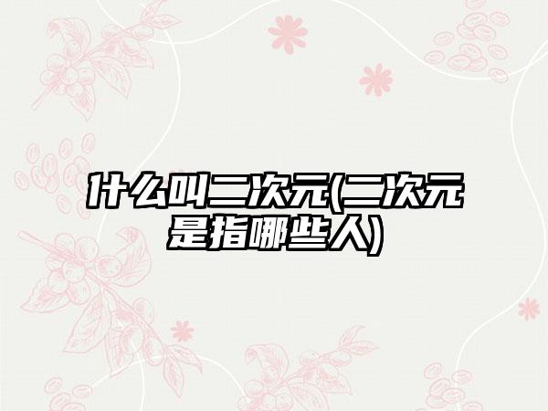 什么叫二次元(二次元是指哪些人)