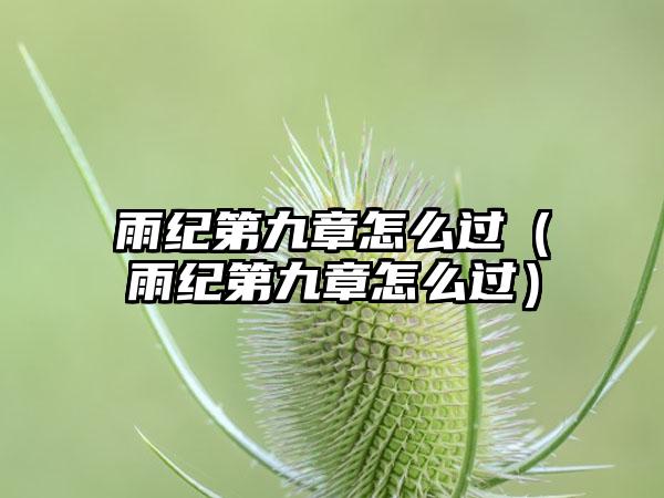 雨纪第九章怎么过（雨纪第九章怎么过）