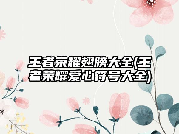 王者荣耀翅膀大全(王者荣耀爱心符号大全)