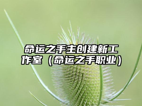 命运之手主创建新工作室（命运之手职业）