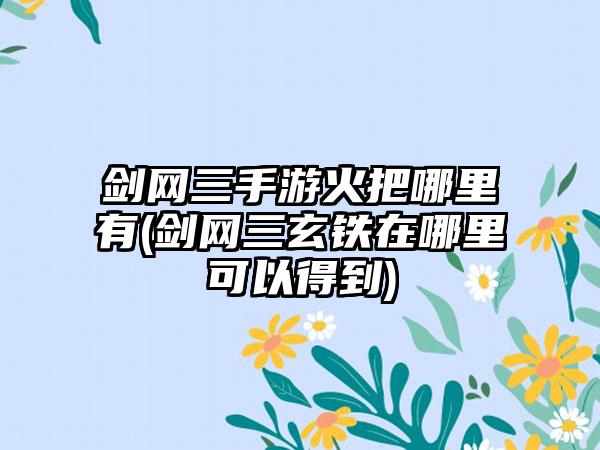 剑网三手游火把哪里有(剑网三玄铁在哪里可以得到)